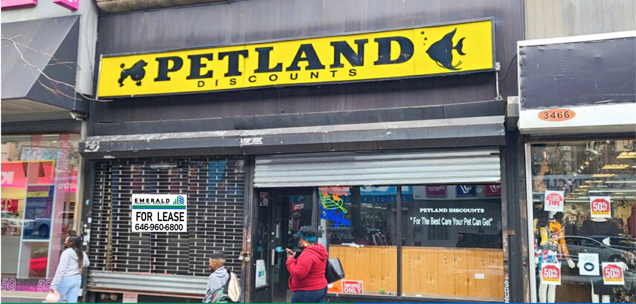 Petland discounts 161 bronx best sale